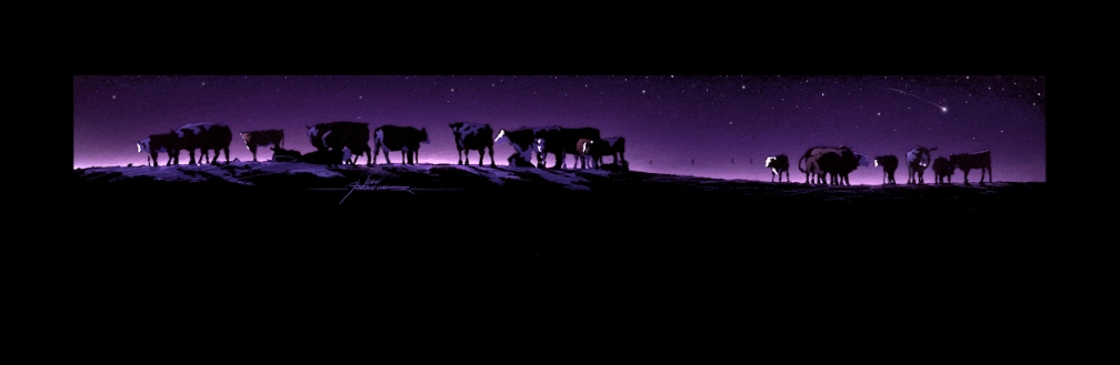 Til The Cows Come Home